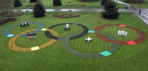 Giant Olympic rings of flowers