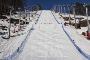 Sochi Moguls