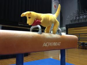 BK on the pommel