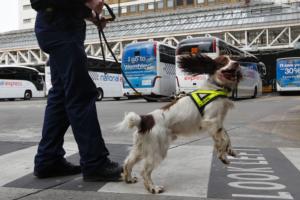 Happiest member of London's security team