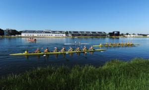 Aussie Eight's Fine Tuning