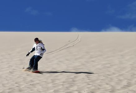 Fitch cruising on the dunes