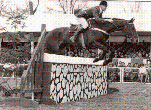 Golden Nugget: Equestrian Excitement - Bill Roycroft - Laurie Morgan