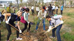 Susie O'Neill planting trees.