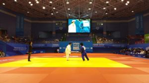 Judoka wins Bronze