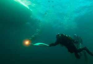 Deep diving torchbearer