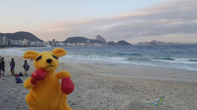 Boxing Kangaroo travels Rio