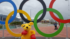 Boxing Kangaroo at the Olympic Park rings